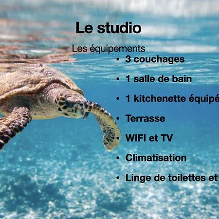 Studio Hippocampe P&V サント・リュス エクステリア 写真